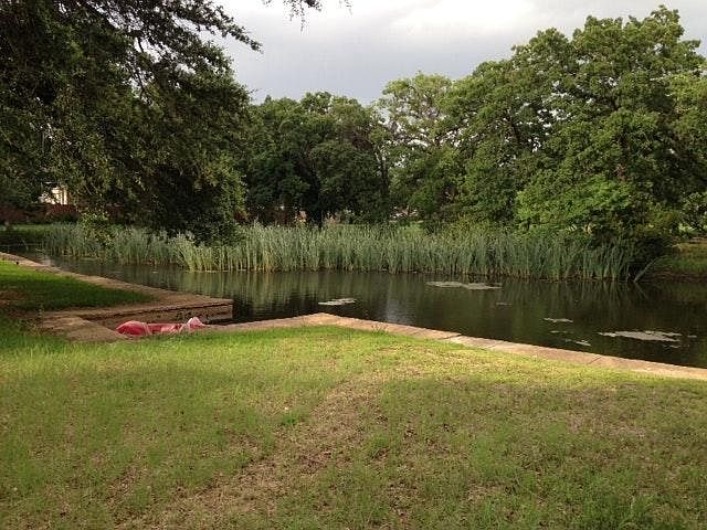 Pond