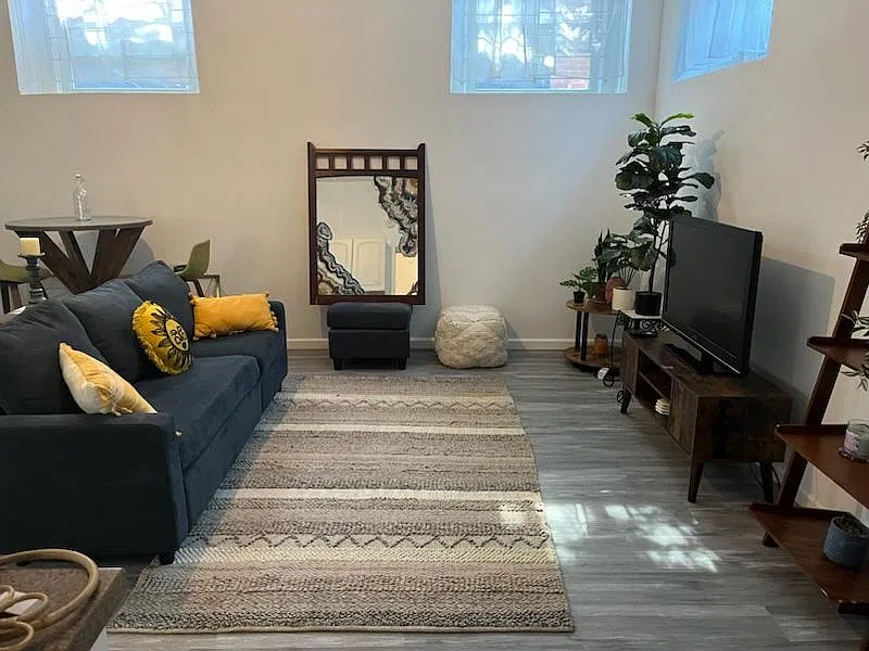 Cozy living room with contemporary furnishings
