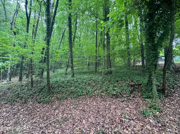 6816 Reddege Rd, Knoxville, TN 37918