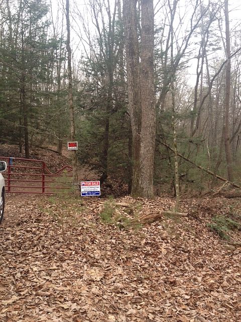 2nd image of 11.04 Acres Twiggs Lane