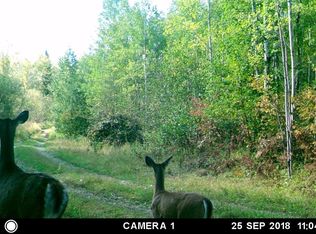 6930 Northeast Rd, Wright, MN 55798