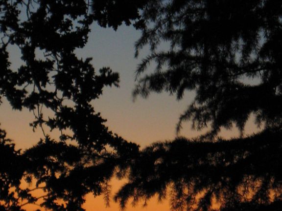 Sunrise from back deck