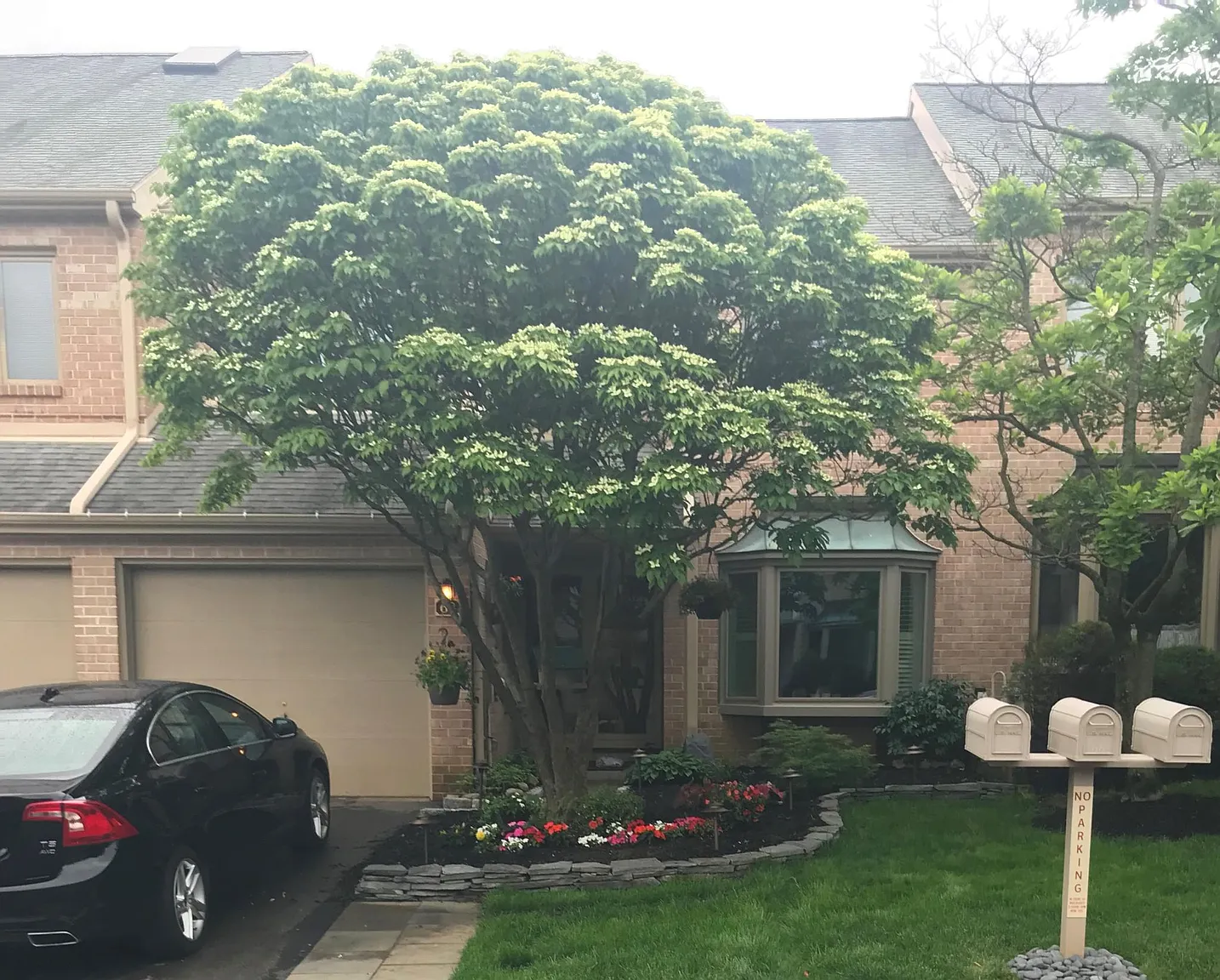 68 Militia Hill Dr photo 1
