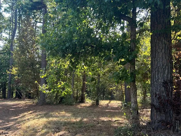 Weepee Dr, Livingston, TX 77351