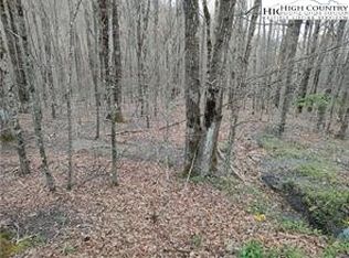 309 Pine Ridge Rd, Banner Elk, NC 28604