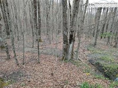309 Pine Ridge Road, Banner Elk, NC, 28604