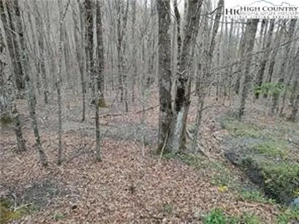 309 Pine Ridge Road, Beech Mountain, NC 28604