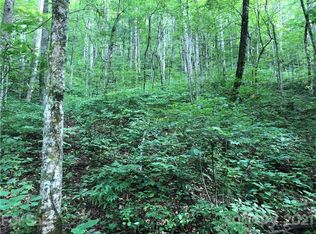 43 Cougar Mountain Rd, Fairview, NC 28730