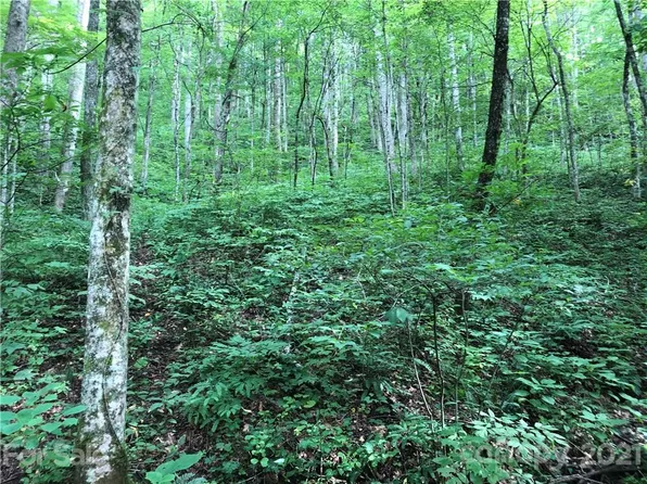 43 Cougar Mountain Rd, Fairview, NC 28730