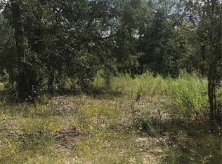 6879 S Wanderlust Pt, HOMOSASSA, FL 34446