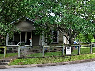 Beautiful view with trees