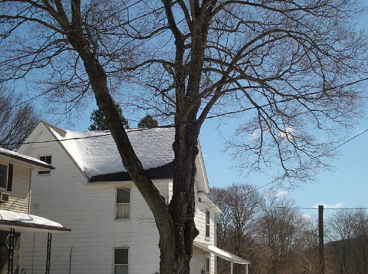 2nd image of 509 White St
