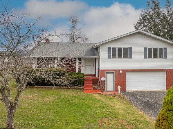 224 Hemlock Ln, Reedsville, WV 26547