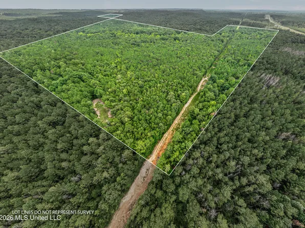 0 E Of Hwy #45, Waynesboro, MS 39367