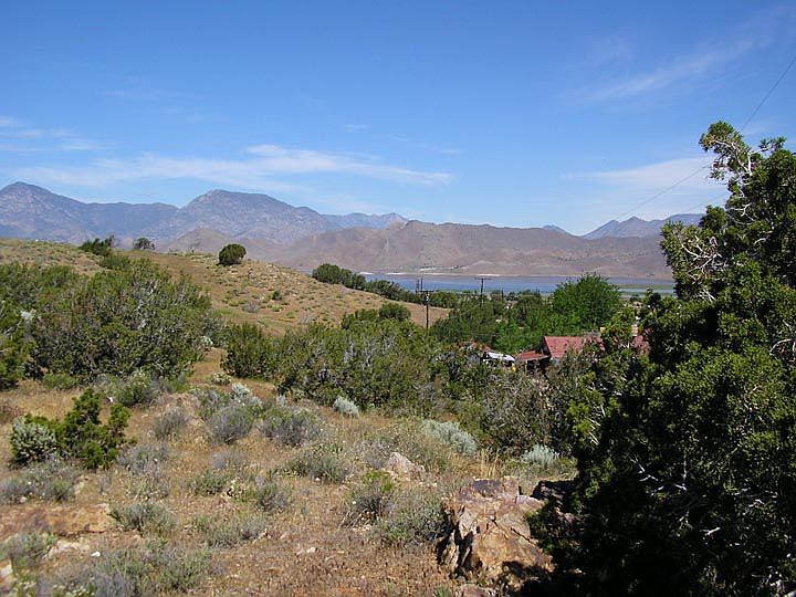 1st image of 8325 Foxtail Pine Dr