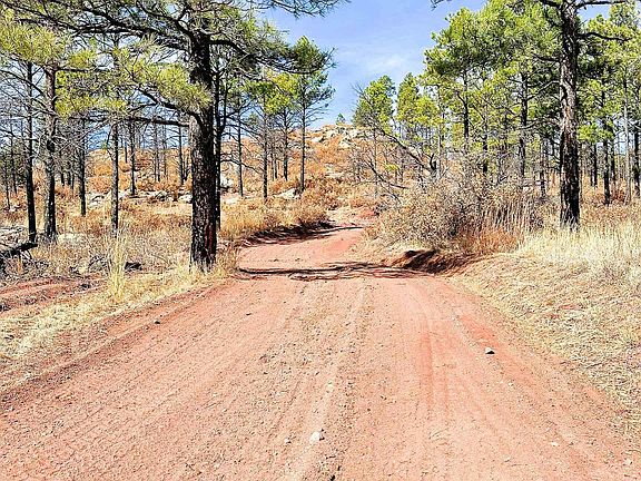 2nd image of 158 Roxie Rd