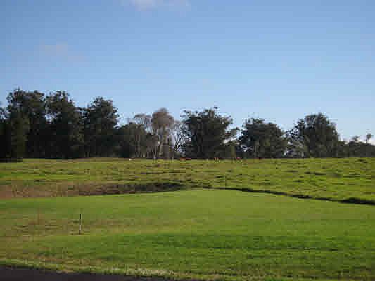 2nd image of LOT Forteen