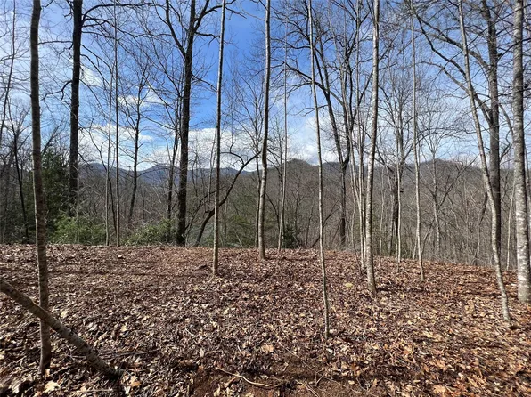 195 Fallen Oak Dr, Sylva, NC 28779