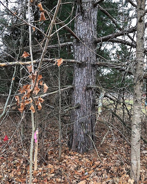 2nd image of Pleasant View Dr Lot 12