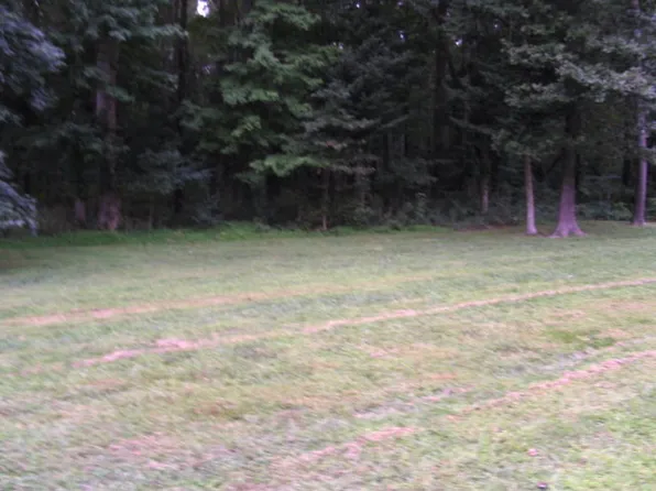 LOT 100 Wolfridge Ln, Horntown, VA 23395