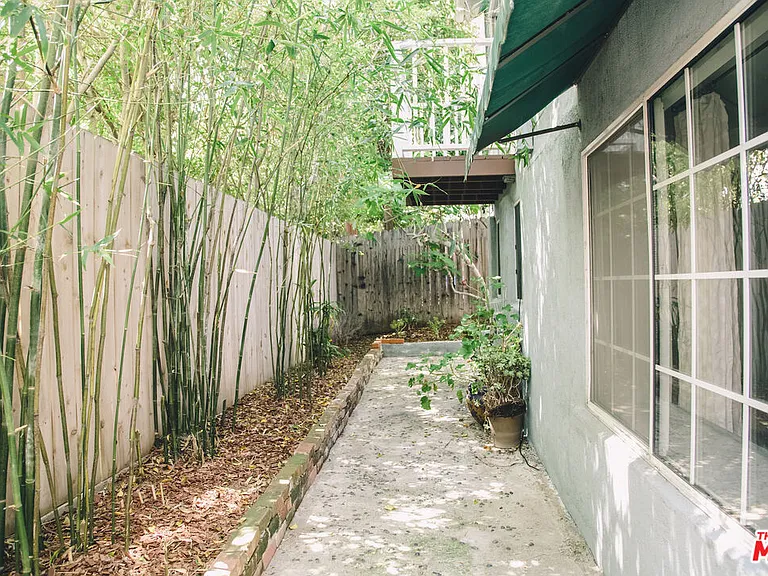 Rear of Home with entrance to Studio, Bamboo for privacy.