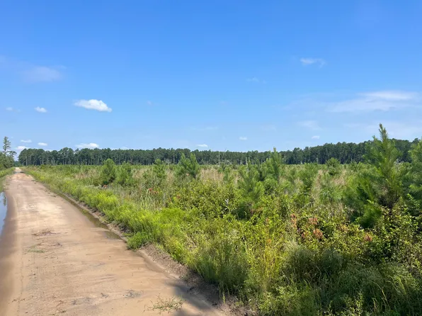 0 Mahogany Ln, Orangeburg, SC 29115