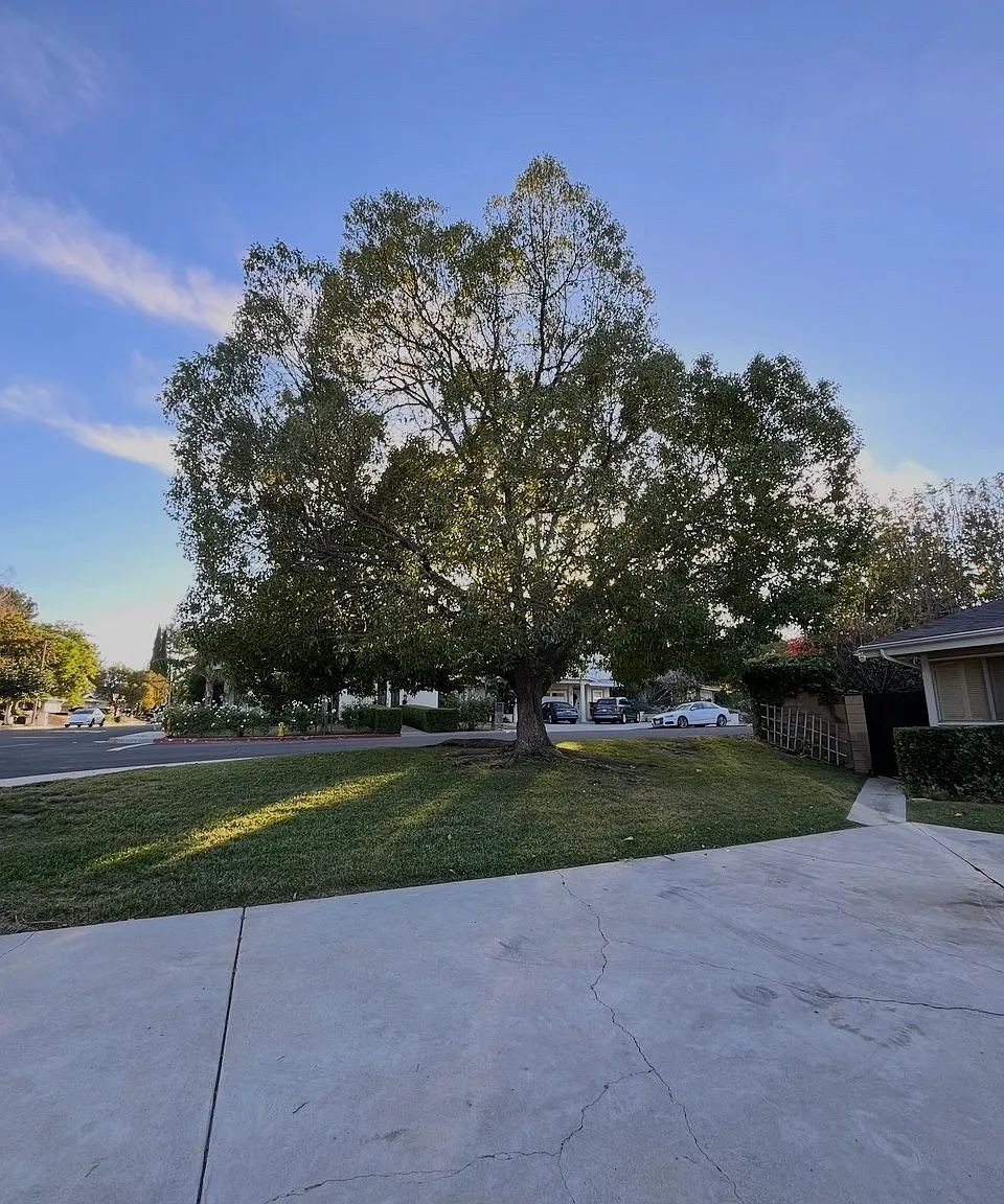 5901 Valerie Ave — Photo 2