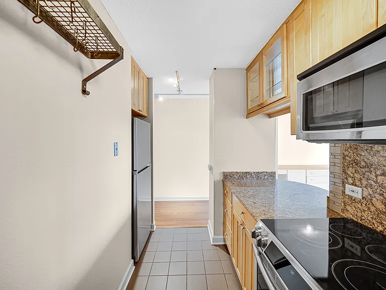 899 S Plymouth Ct #1602 — Photo 15