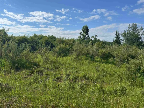S Lakeview Court Rd, Gladwin, MI 48624