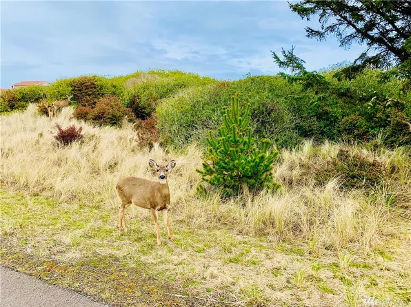 1376 Sand Pebble Dr, Ocean Shores, WA 98569