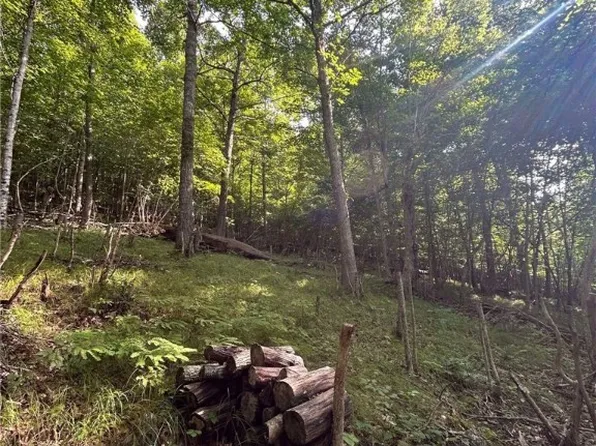 TBD Allen Road, Piney Creek, NC 28663