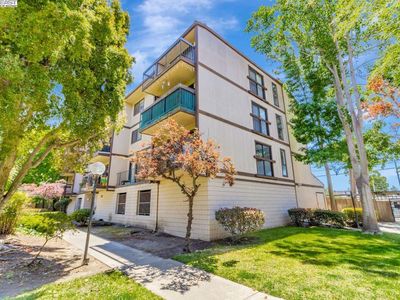 2021 Market Ave APT 211, San Pablo, CA, 94806