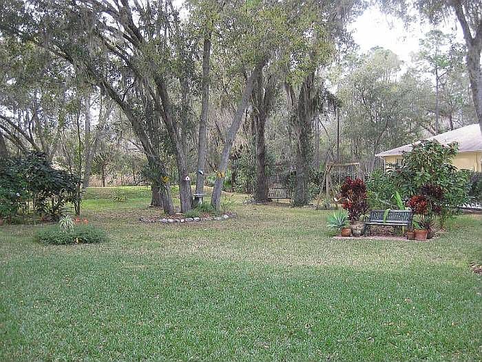 Yard