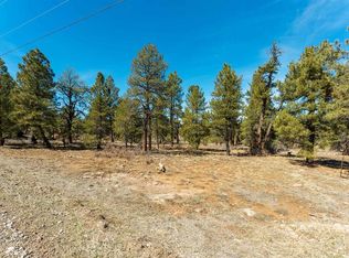 412 Coronado Circle, Pagosa Springs, CO 81147