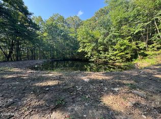 0 Gallitzin Rd, Gallitzin, PA 16641