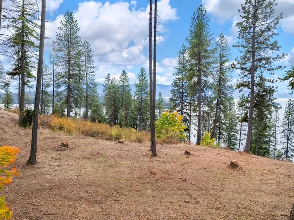 Nna Green Monarch Ln, Hope, ID 83836