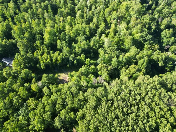 5170 Rocky Top Ln Parcel B, Pierson, MI 49339
