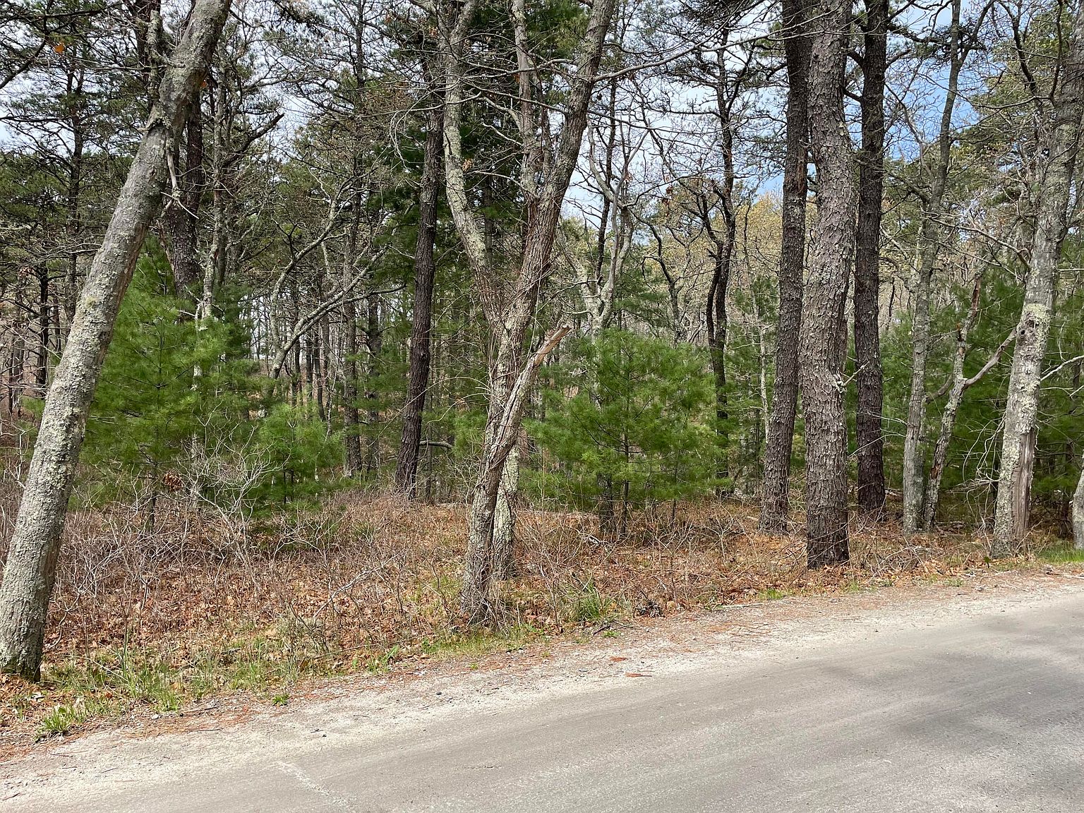 0 Crowells Bog Road, Brewster, MA 02631 | Zillow