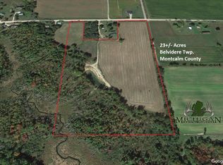 Vl W Schmeid Rd, Six Lakes, MI 48886