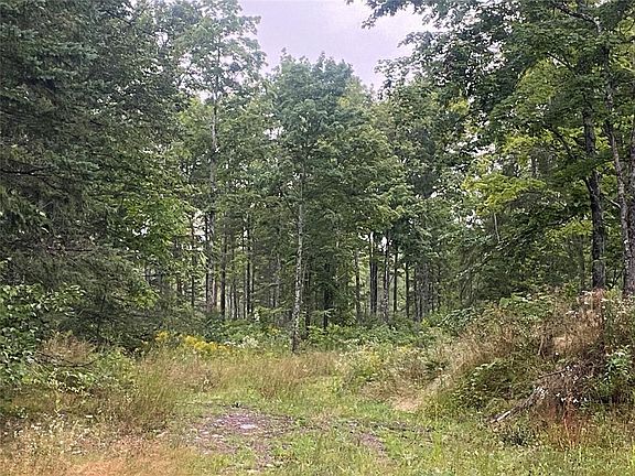 2nd image of On Doland Road