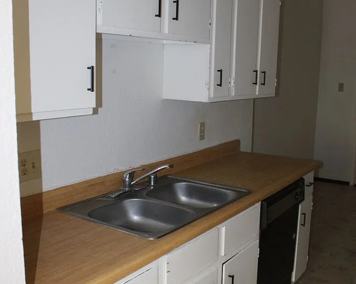 10736 Obsidian St — Photo 7