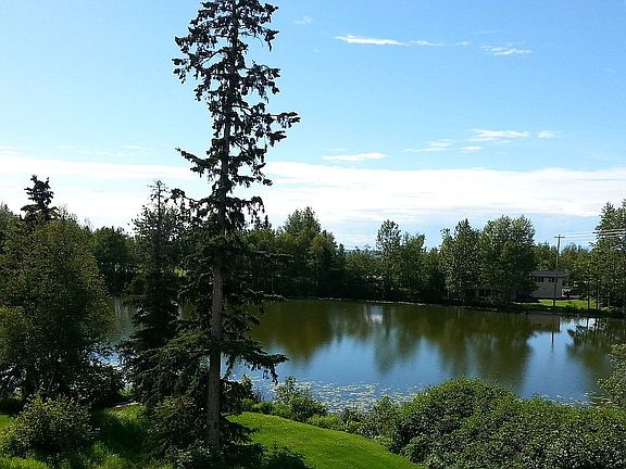 Summer View