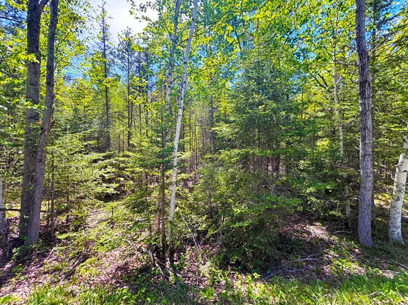 LOT 118 Timberway Dr, Presque Isle, MI 49777