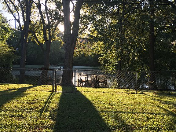 Backyard view to bayou 