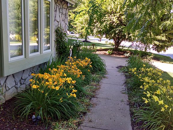 Front pathway