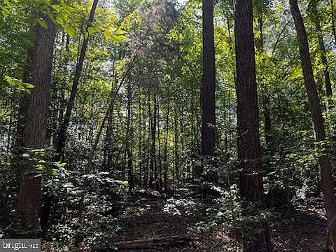 2nd image of LOT 1081 Slash Pine Cir