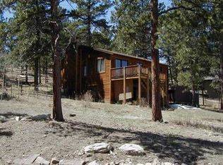 101 Crestview Ln, Bailey, CO 80421