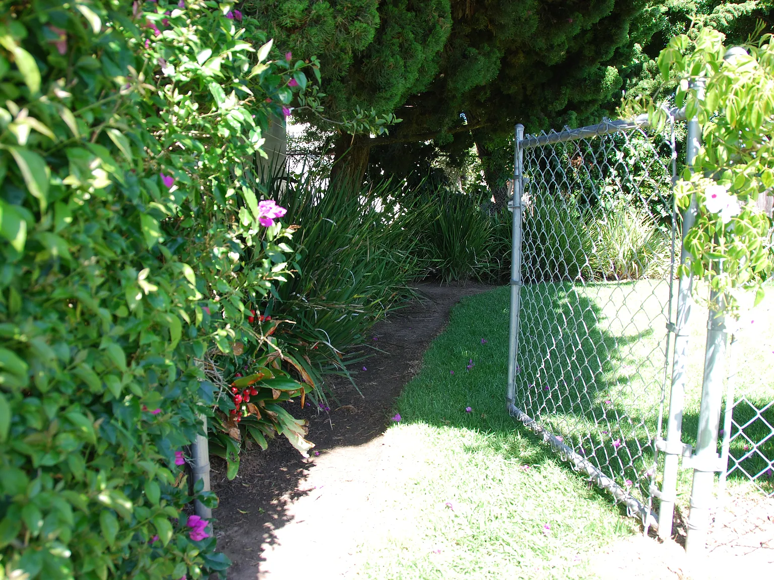 Private Front Yard