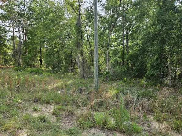 NE 153rd Ave Lot 3, Williston, FL 32696