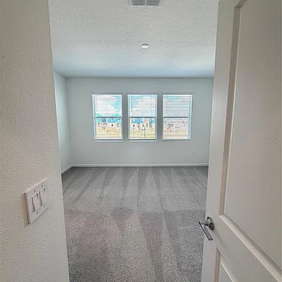 6017 Wellbeing Way — Photo 29